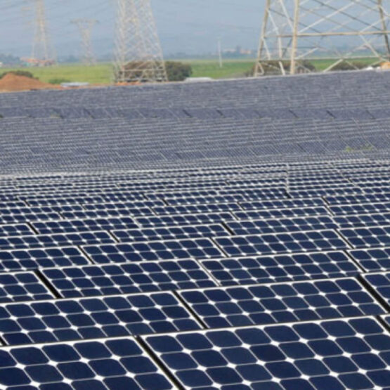 Montalto di Castro impianto fotovoltaico